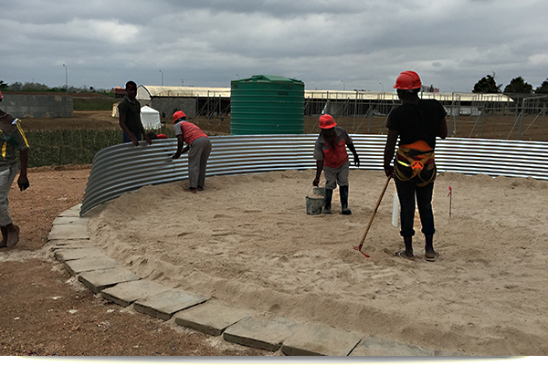 greenhouse Construction